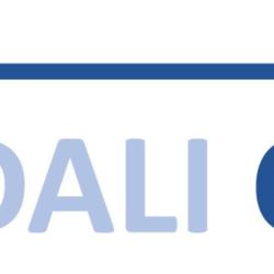 Dali Conseil