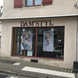 Dam Styl