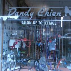 Dandy Chien
