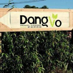 Dang Vo