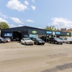 Daniel You - Bosch Car Service