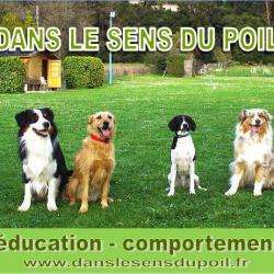 Dans Le Sens Du Poil