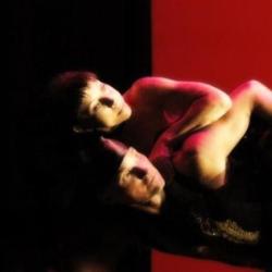 Danse Evolution
