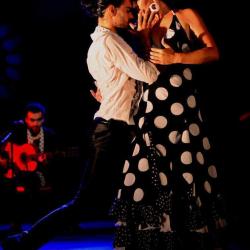 Cours Danse Lyon Flamenco Al Andalus