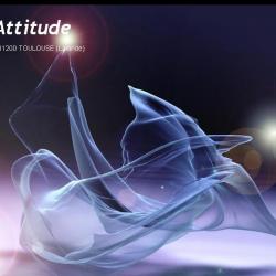Danses Attitude