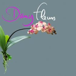 Dany Fleurs
