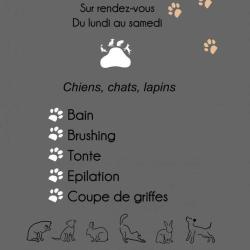 Darras