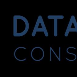 Datasoft Consulting