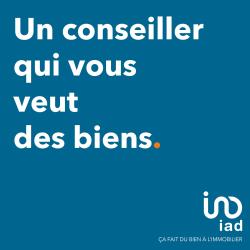 David Bigot Conseiller Immobilier Iad France