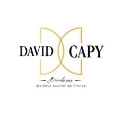 David Capy
