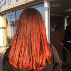 David Coiffure
