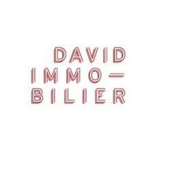 David Immobilier Montmartre-abbesses