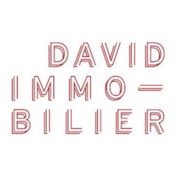 David Immobilier