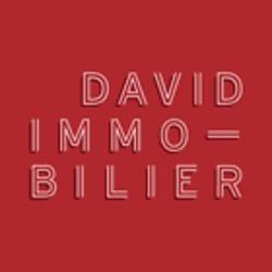 David Immobilier