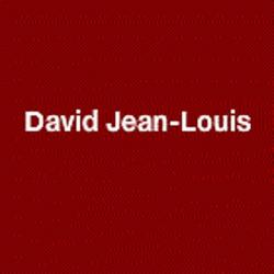 David Jean Louis