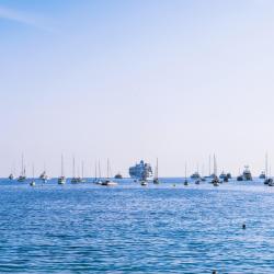 David Pantarotto  Iad - Immobilier Nice
