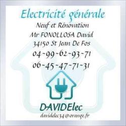 Davidelec