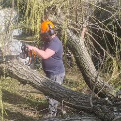 Db élagage | Elagueur Pontault-combault Pose De Gazon Rouleau Taille De Haie 77 94