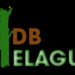 Db Elagueur, Jardinier 45