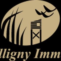De Belligny Immobilier