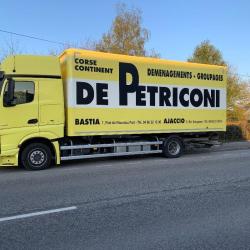 De Petriconi