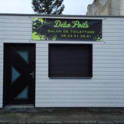 Débo'poils