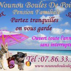 Nounou Boule De Poils