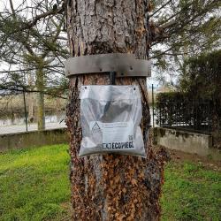 Décim'guêpes - Extermination De Nuisibles En Drôme-ardèche - Guêpes - Frelons - Rongeurs