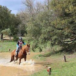 Deconde Le Butor Heloise