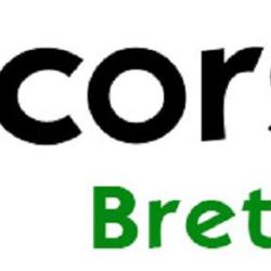 Decorsol Bretagne