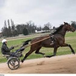 Defensedutrot.com