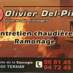 Del Pino Olivier