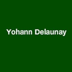 Delaunay Yohann