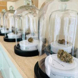 Deli Hemp/nature Verte Cbd Shop Vannes