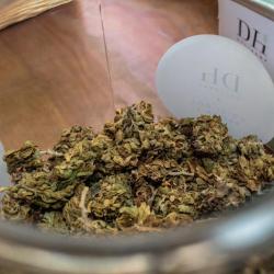 Deli Hemp