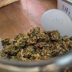 Deli Hemp