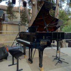 Delmas Musique