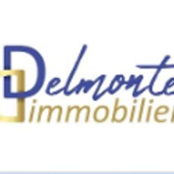 Delmonte Immobilier