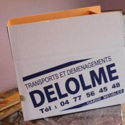 Delolme Patrice