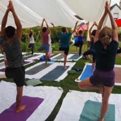 Delphine Aubour Blanloeil Yoga Surya