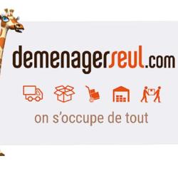 Demenagerseul.com