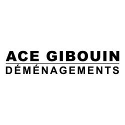 Déménageurs Ace Gibouin Cholet