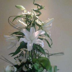 Denis Fleurs