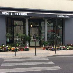 Denis Fleurs