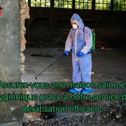 éradiqueo Dératisation Paris