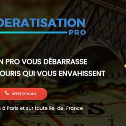 Dératisation Pro
