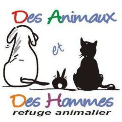 Des Animaux Et Des Hommes