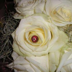 Des Clics Ambiance Florale
