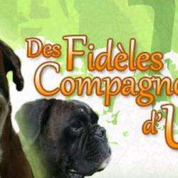 Des Fidèles Compagnons D'uxen