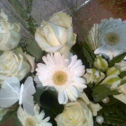 Des Fleurs à La Maison!